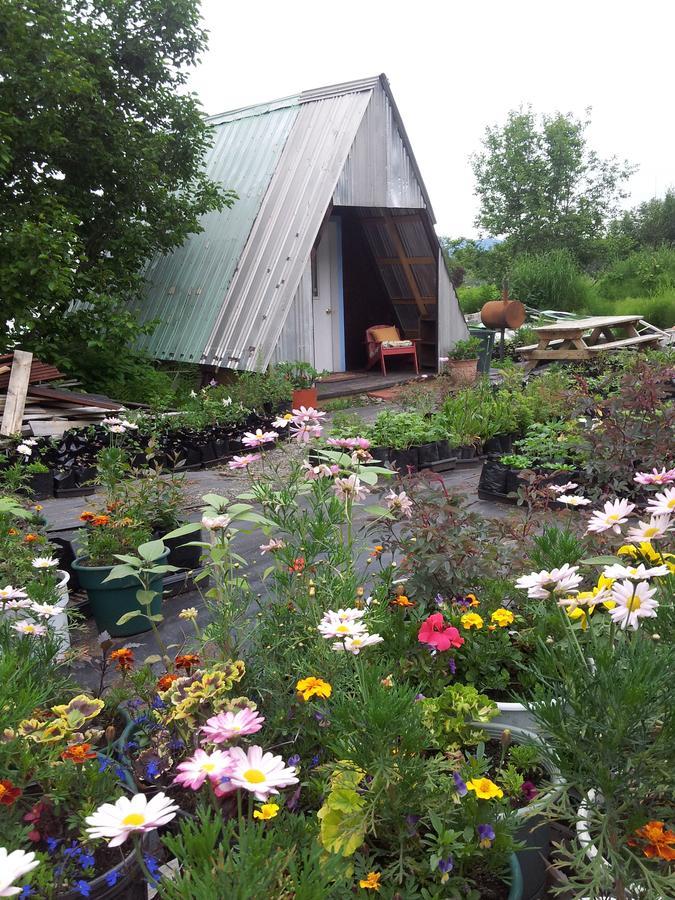 Cottonwood Cabins Fritz Creek Экстерьер фото