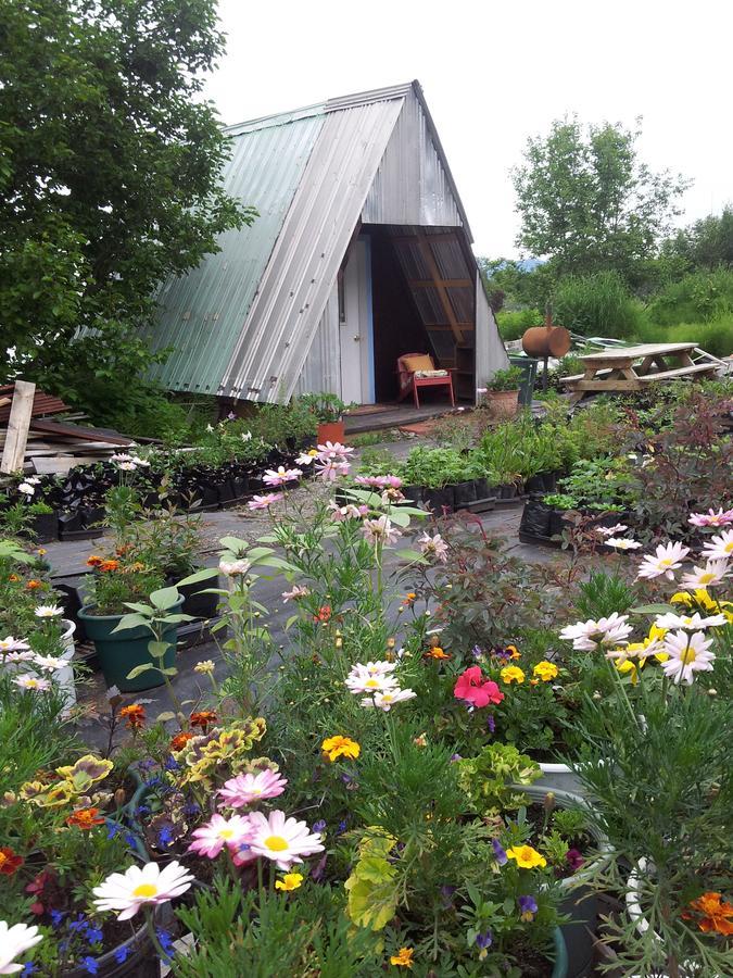 Вилла Cottonwood Cabins Fritz Creek Экстерьер фото